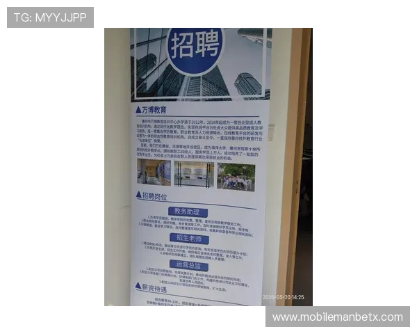 万博博彩用户评价与常见问题解答汇总