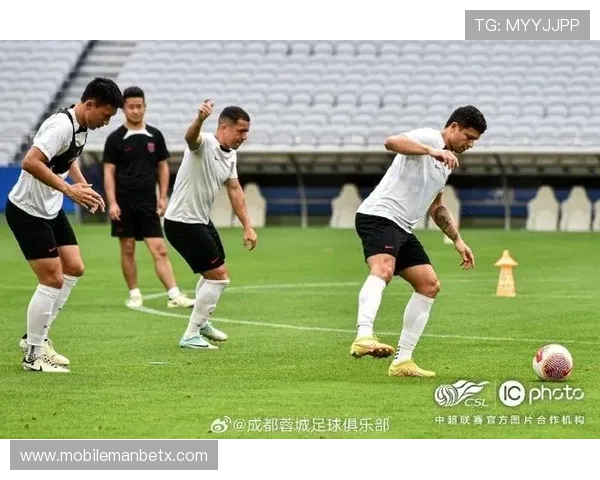 万博足球官网入口网址2024年最新更新，确保用户安全畅享足球盛宴