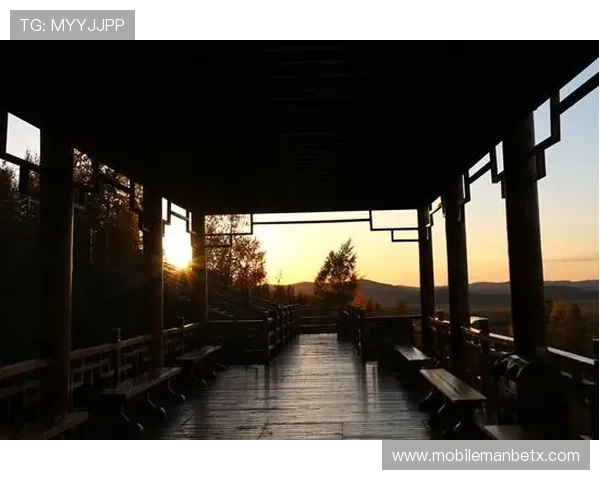 万博manbetx平台官方网址最新更新及注册流程详细介绍