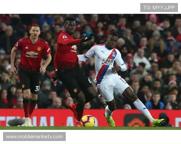 万博体育网页水晶宫战术策略总结与比赛精彩瞬间回顾