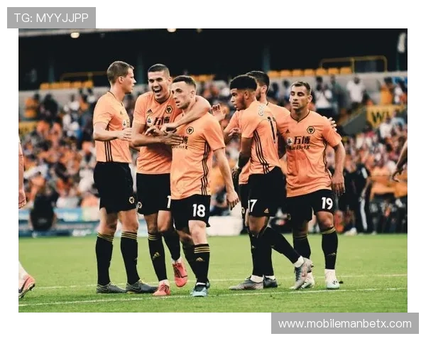 万博球队最新阵容分析与赛季表现全面解读