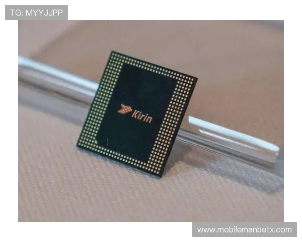 三亿体育手机版APP常见问题解答，解决用户在使用过程中遇到的各种疑问