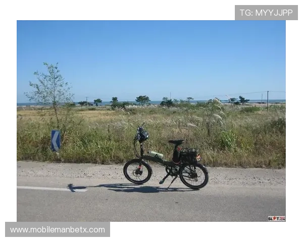 半岛体育官方网站入口账号登录遇到问题的解决方案与技术支持