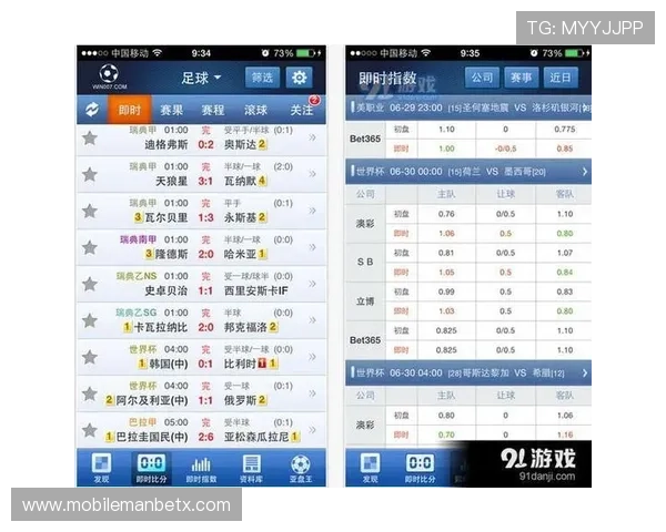 球探比分网的足球比分更新频率及其优势分析，提升用户体验的关键因素